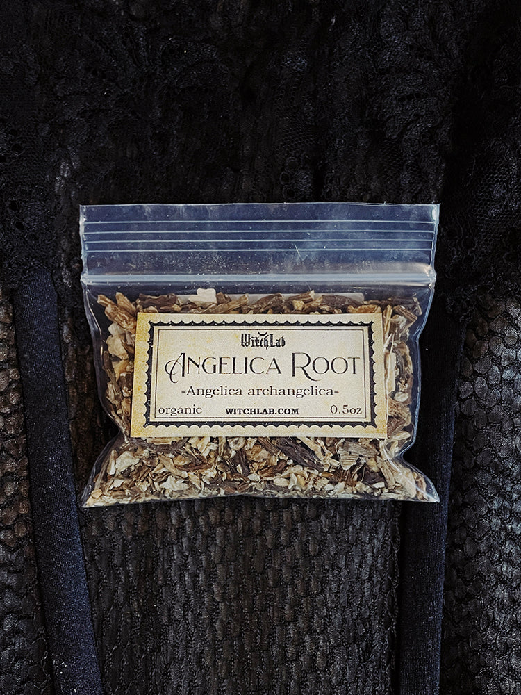 ビカク15株セットAngelGabriel /Ginka/BannaG OC Angelica Root Organic 0.5oz – WitchLab