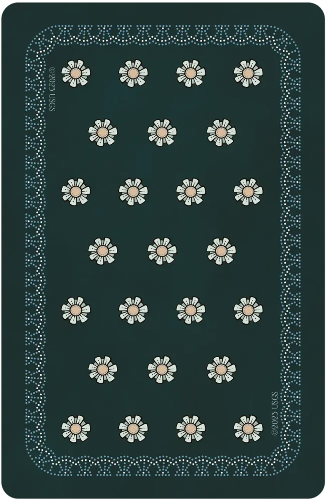 
                  
                    Universal Folk Tarot
                  
                