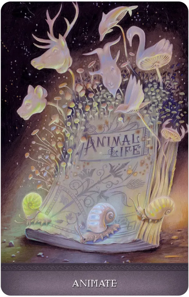 
                  
                    Land of Giants Oracle
                  
                