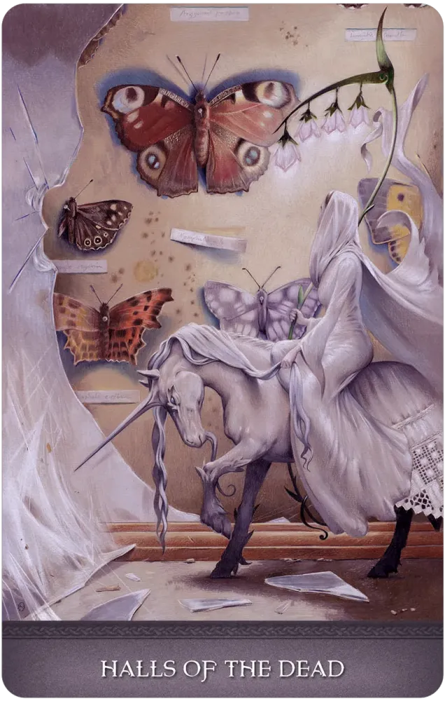 
                  
                    Land of Giants Oracle
                  
                