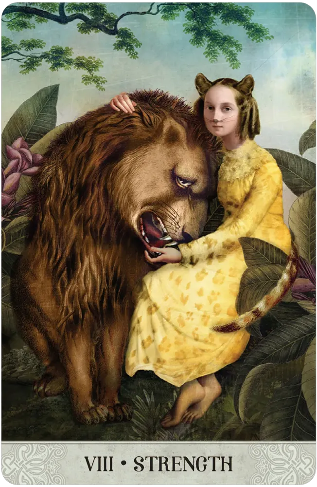 
                  
                    Tarot of Mystical Moments Borderless Miniature Edition
                  
                