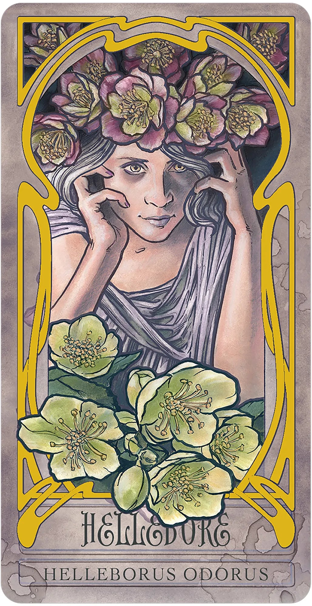 
                  
                    Lady Stirling's Wicked Garden Oracle
                  
                