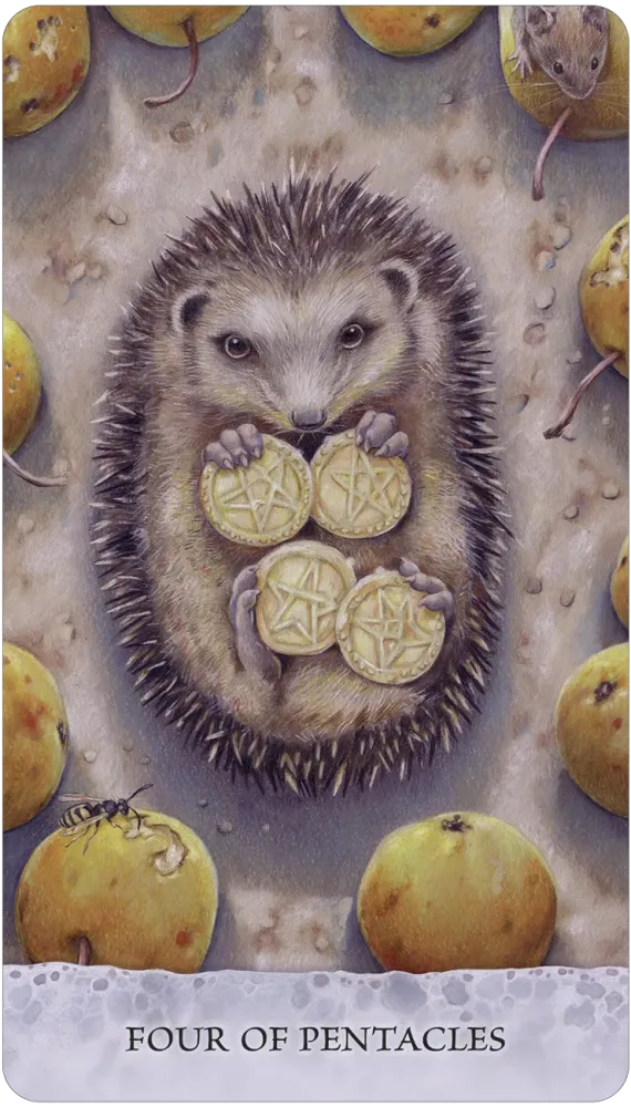 
                  
                    Tarot of Tides: The Adventures of a Duck Named Bob
                  
                