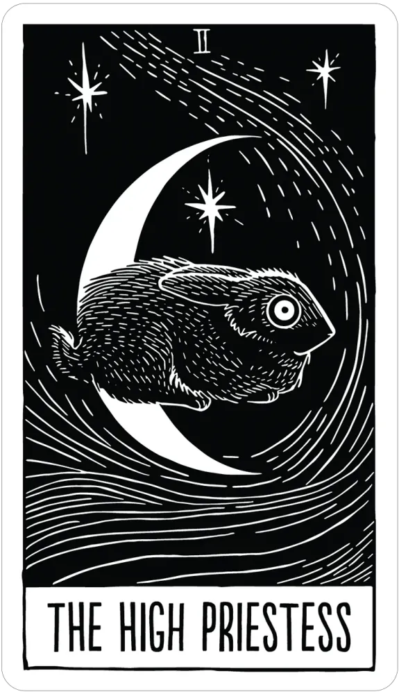 
                  
                    Star String Tarot
                  
                
