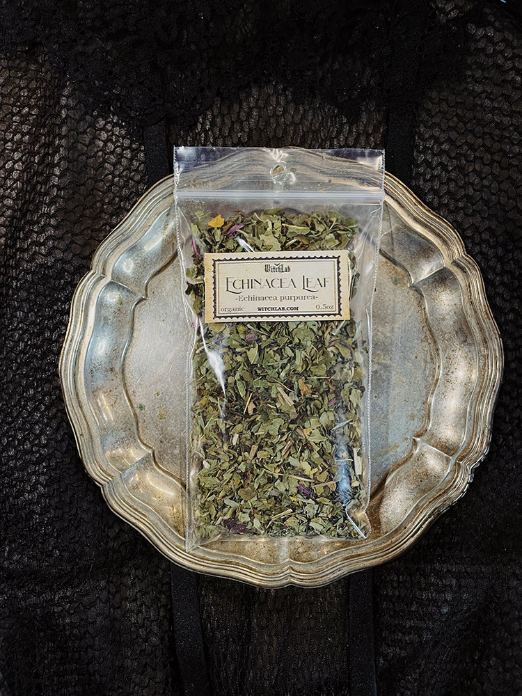 Echinacea Leaf Loose Herb Organic 0.5oz