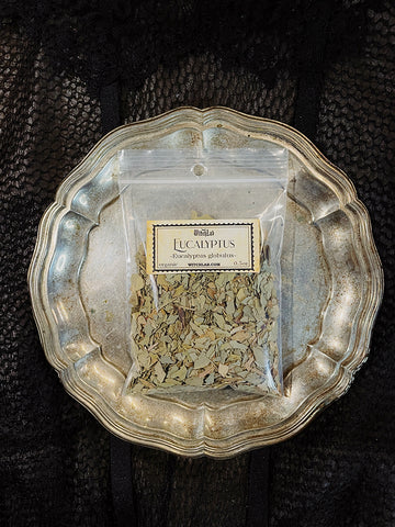 Eucalyptus Loose Herb Organic 0.5oz