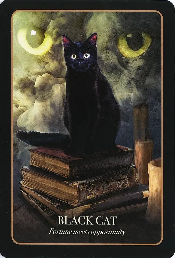 
                  
                    The Halloween Oracle
                  
                