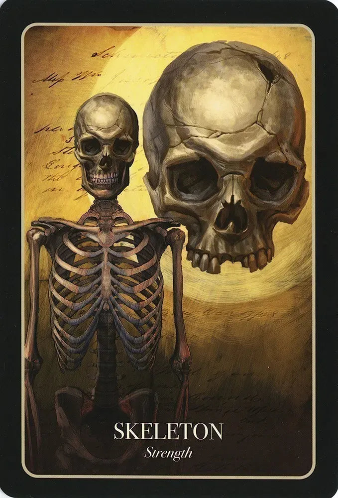 
                  
                    The Halloween Oracle
                  
                