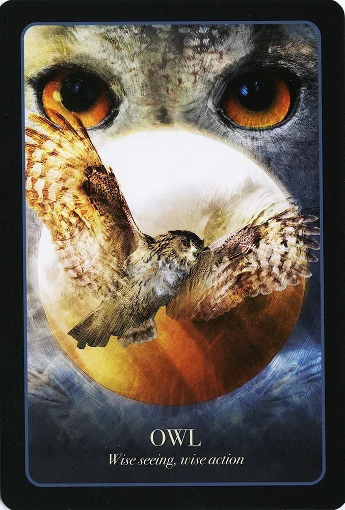 
                  
                    The Halloween Oracle
                  
                
