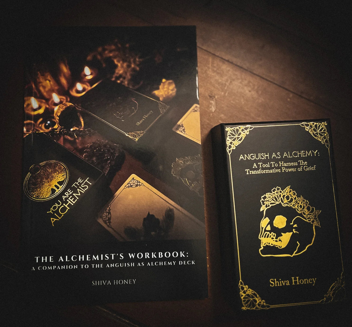 
                  
                    The Alchemist's Workbook: A Companion to the Anguish as Alchemy Deck
                  
                