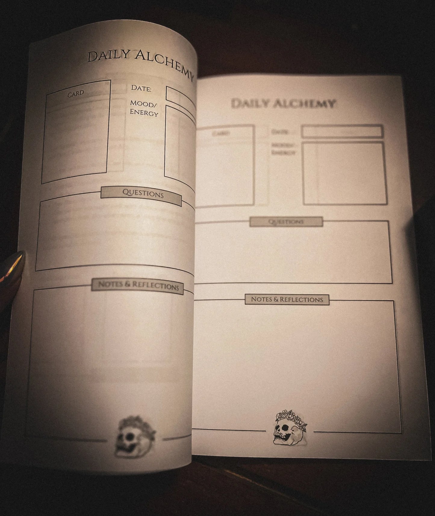 
                  
                    The Alchemist's Workbook: A Companion to the Anguish as Alchemy Deck
                  
                