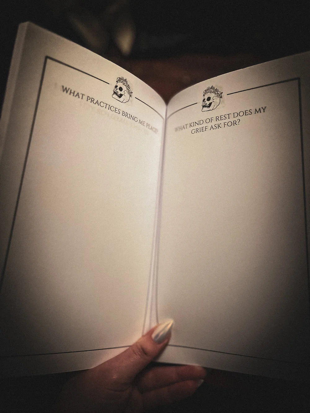 
                  
                    The Alchemist's Workbook: A Companion to the Anguish as Alchemy Deck
                  
                