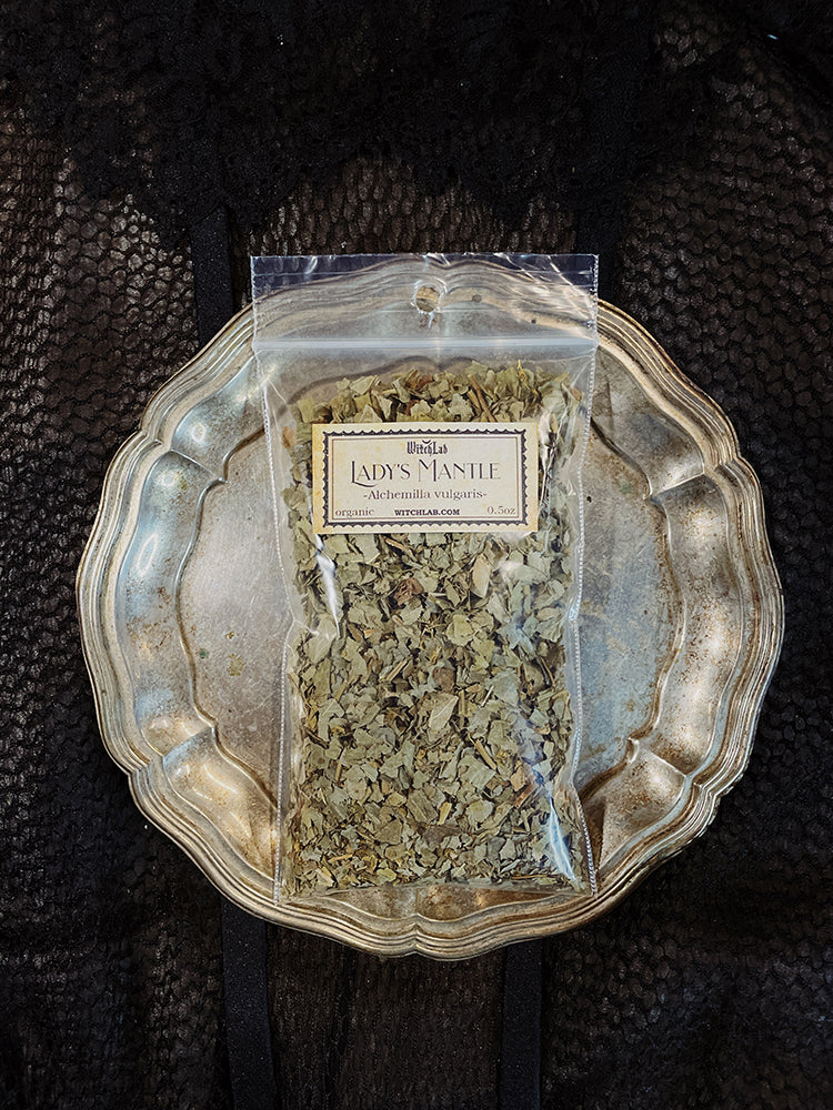 Lady's Mantle Loose Herb Organic 0.5oz