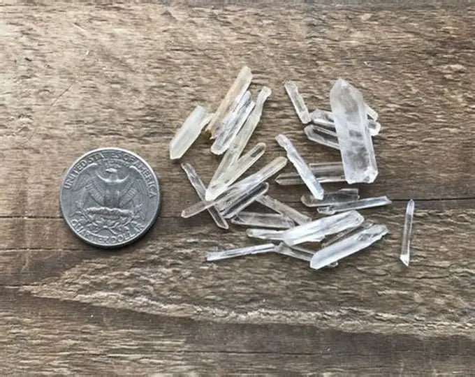 
                  
                    Mini Tumbled Crystals
                  
                