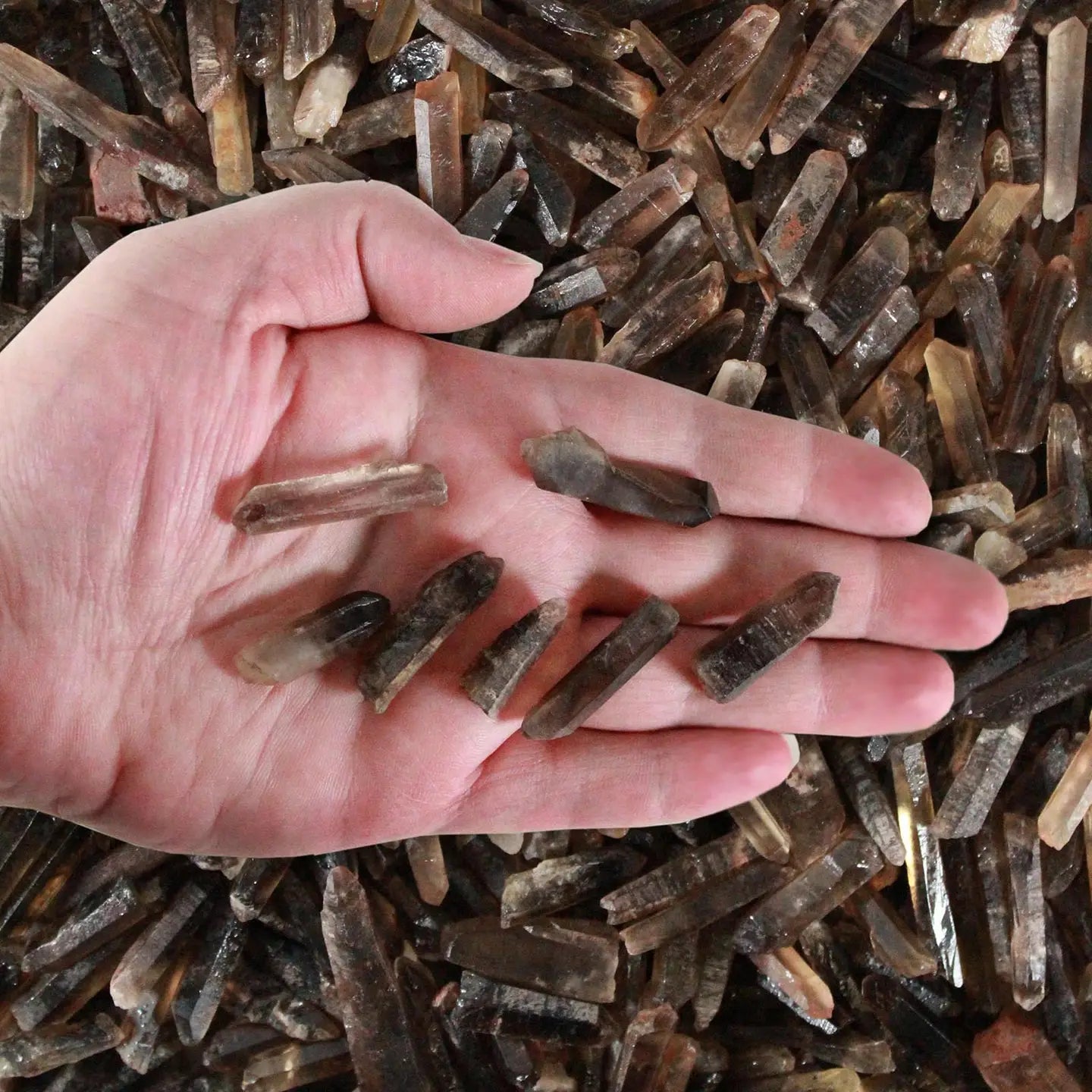 
                  
                    Mini Tumbled Crystals
                  
                