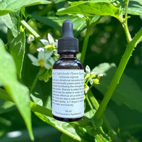 Black Nightshade Flower Essence 30 ml