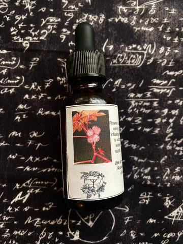 Castor Plant Flower Essence 30 ml