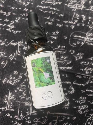 Sacred Datura (Stramonium) Flower Essence 30 ml