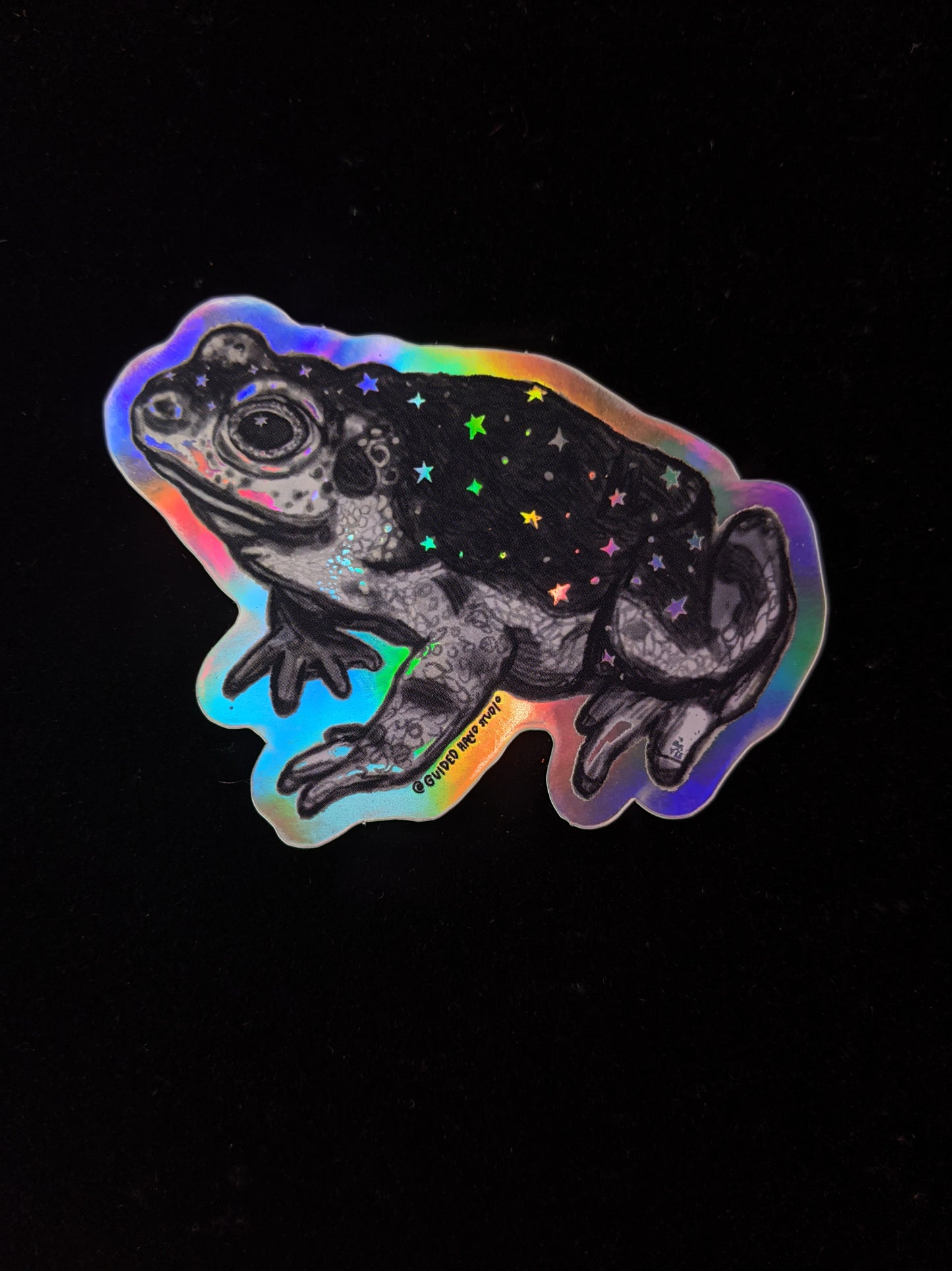 
                  
                    Holographic Witch Familiar Stickers
                  
                