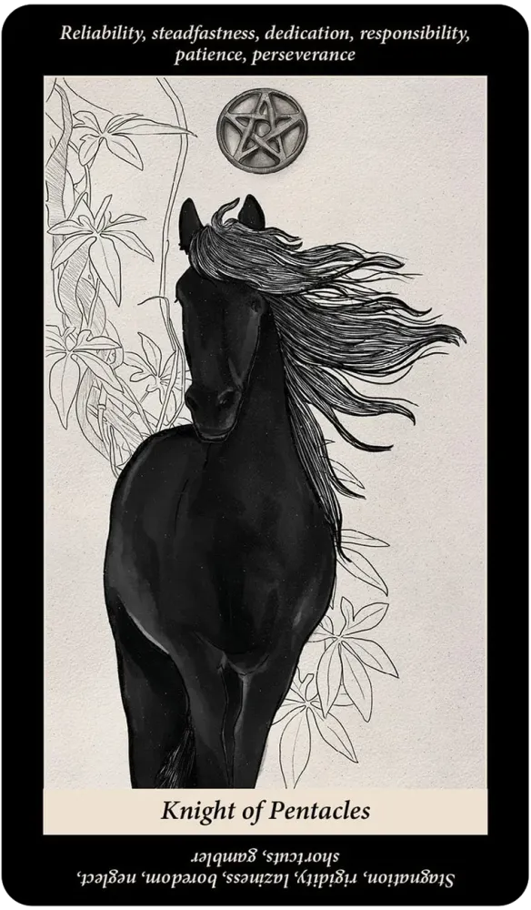 
                  
                    Soul Reflections Tarot
                  
                