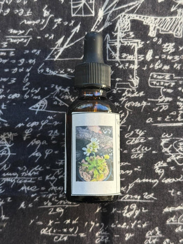 Venus Flytrap Flower Essence 30mL