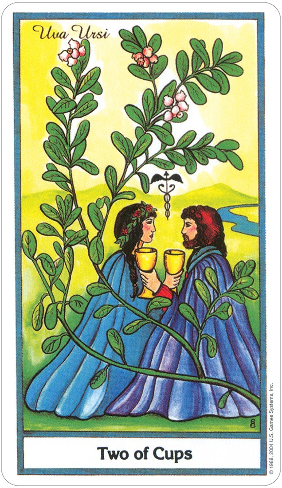
                  
                    The Herbal Tarot
                  
                