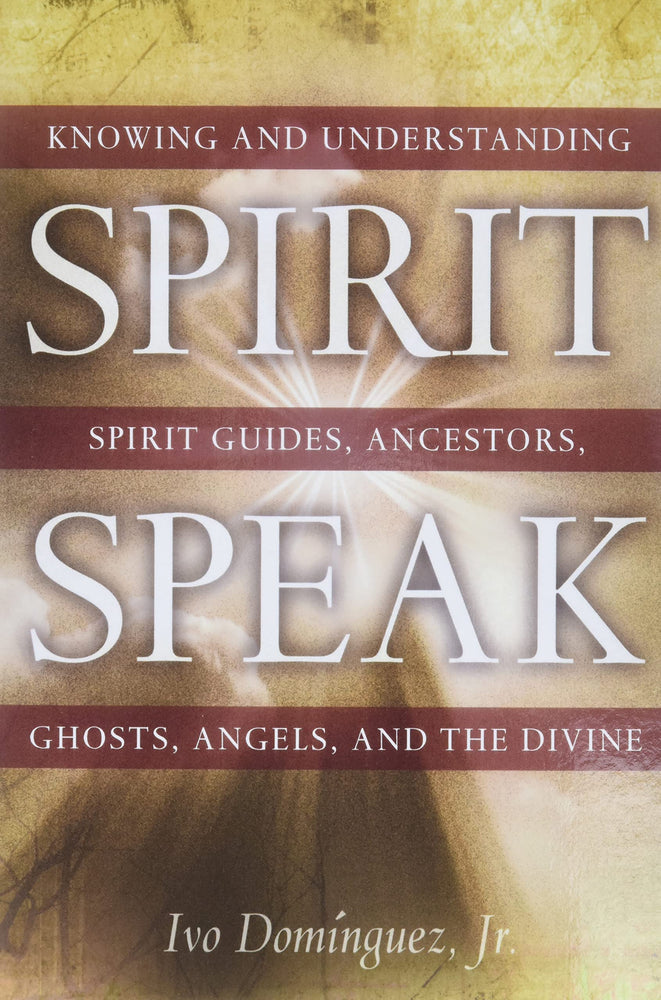 
                  
                    Spirit Speak: Knowing and Understanding Spirit Guides, Ancestors, Ghosts, Angels, and the Divine
                  
                