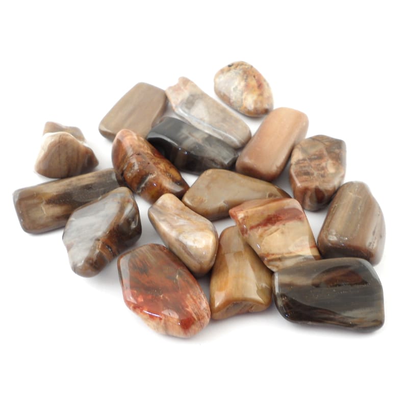 
                  
                    Petrified Wood P2
                  
                
